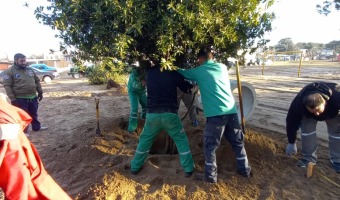 REACONDICIONAMIENTO DE ESPACIOS PBLICOS EN LA CARMENCITA